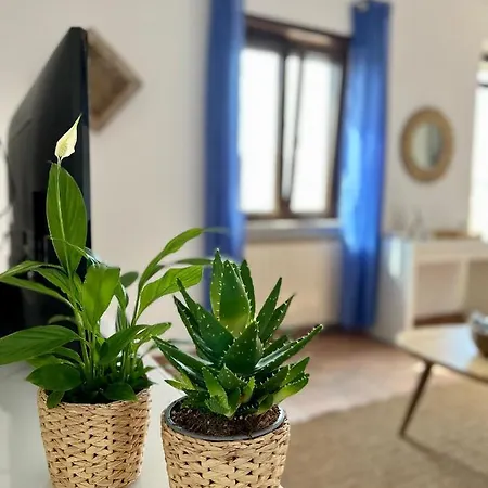 Sea Breeze House פיומיצ'ינו